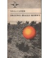 Drzewo białej morwy