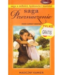 Magiczny kamień. Saga Przeznaczenie t.1