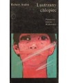 Lustrzany chłopiec