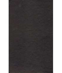 Menuet. Dwa koszmary