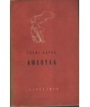 Ameryka