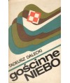 Gościnne niebo. Wspomnienia ze szkół lotniczych w ZSRR 1944-1946
