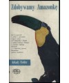Zdobywamy Amazonkę