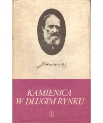 Kamienica w Długim Rynku. Powieść