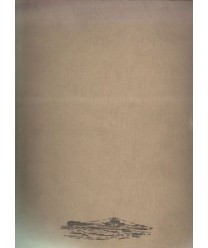 Flota Białego Orła