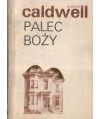 Palec boży