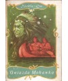 Gwiazda Mohawka