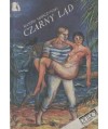 Czarny ląd