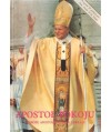 Apostoł pokoju. Podróże apostolskie Jana Pawła II