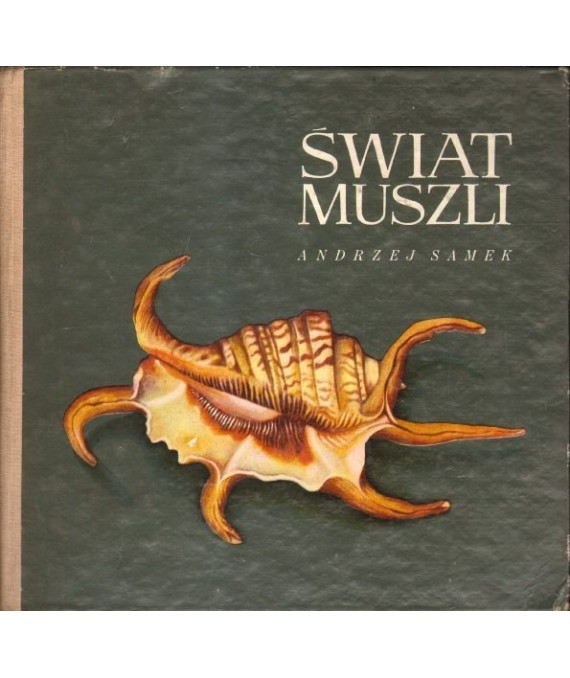 Świat muszli