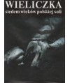 Wieliczka siedem wieków polskiej soli