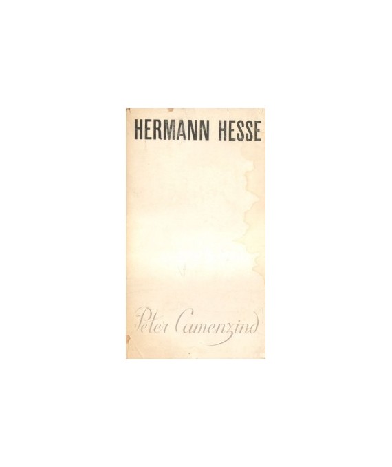 Peter Camenzind