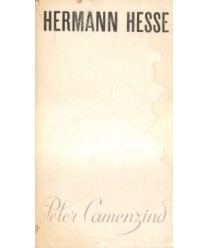 Peter Camenzind