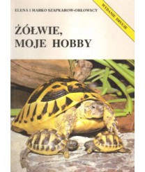 Żółwie, moje hobby