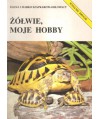 Żółwie, moje hobby