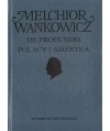 De profundis. Polacy i Ameryka