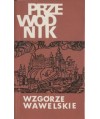 Wzgórze Wawelskie. Przewodnik