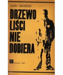 Drzewo liści nie dobiera