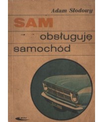 Sam obsługuję samochód