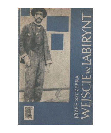 Wejście w labirynt: Opowieść o młodości Stanisława Wyspiańskiego