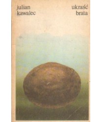 Ukraść brata