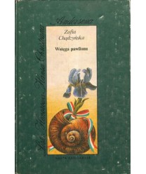 Wstęga pawilonu