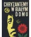 Chryzantemy w białym domu