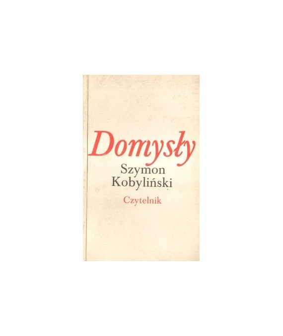 Domysły