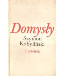 Domysły