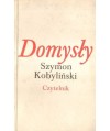 Domysły