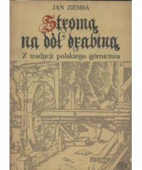 Stromą na dół drabiną. Z tradycji polskiego górnictwa