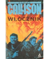 Włócznik