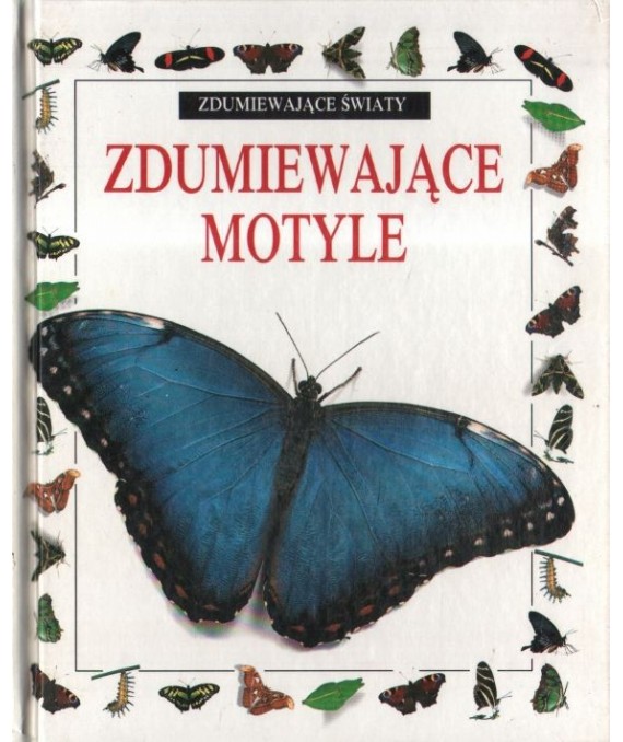 Zdumiewające motyle