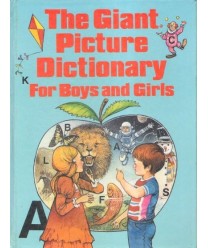 The giant picture dictionary for boys and girls