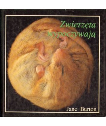 Zwierzęta wypoczywają