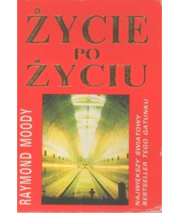 Życie po Życiu