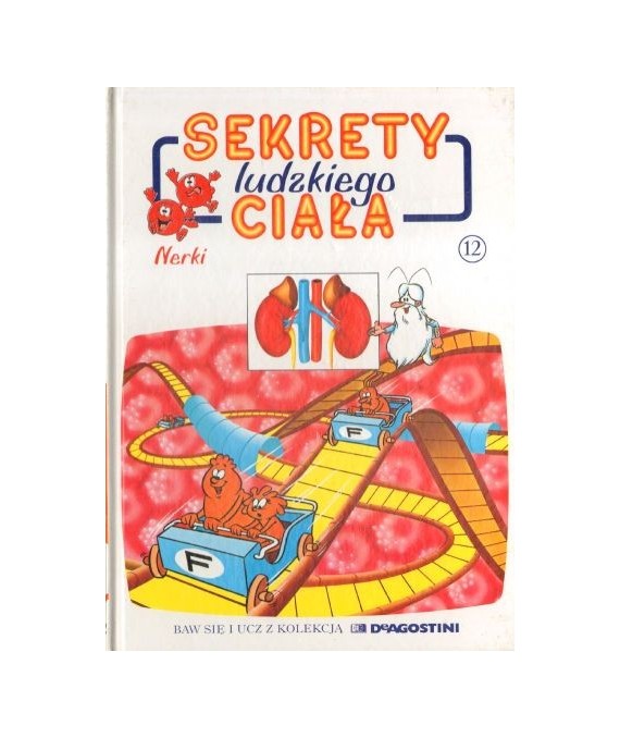Sekrety ludzkiego ciała. Nerki