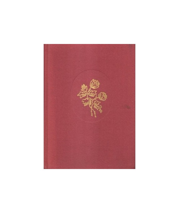 Dzieje literatury polskiej