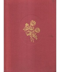 Dzieje literatury polskiej