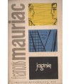 Jagnię