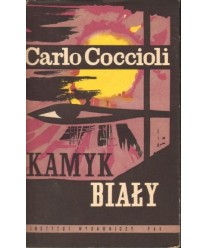 Kamyk biały