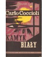 Kamyk biały