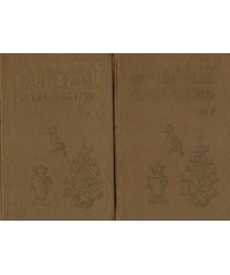 Ilustrowany słownik rosyjsko-polski i polsko-rosyjski t. 1-2