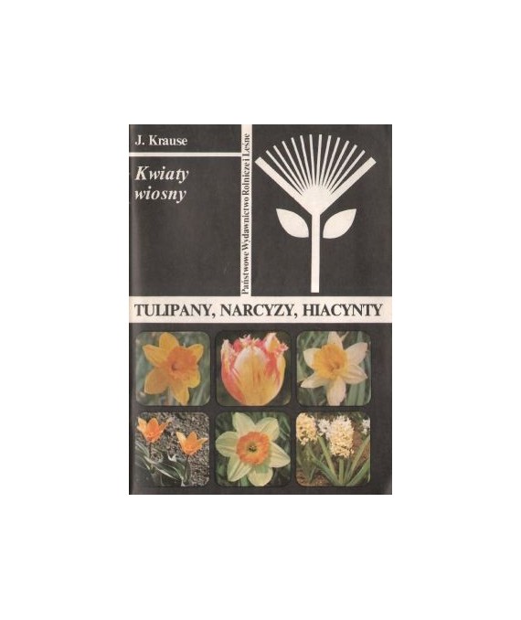 Kwiaty wiosny. Tulipany, narcyzy, hiacynty