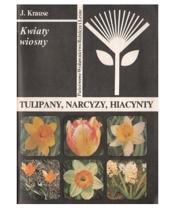 Kwiaty wiosny. Tulipany, narcyzy, hiacynty