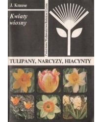 Kwiaty wiosny. Tulipany, narcyzy, hiacynty