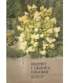 Krzewy i drzewa ozdobne