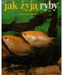 Jak żyją ryby