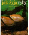 Jak żyją ryby