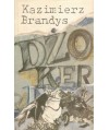 Dżoker. Wspomnienia z teraźniejszości